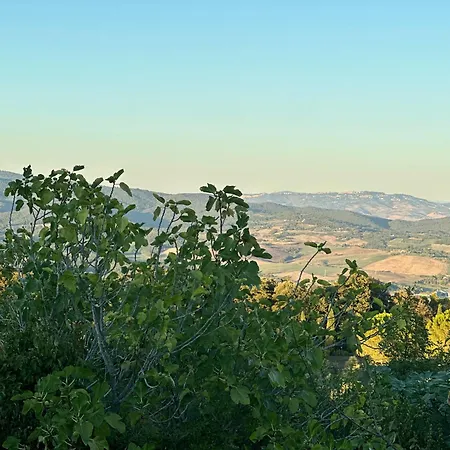 Relax Vista Mare Con Giardino Daire Guardistallo